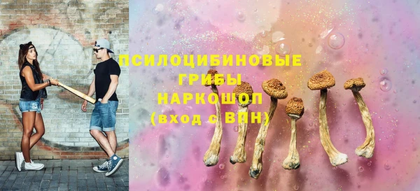 ГАЛЛЮЦИНОГЕННЫЕ ГРИБЫ Алексин